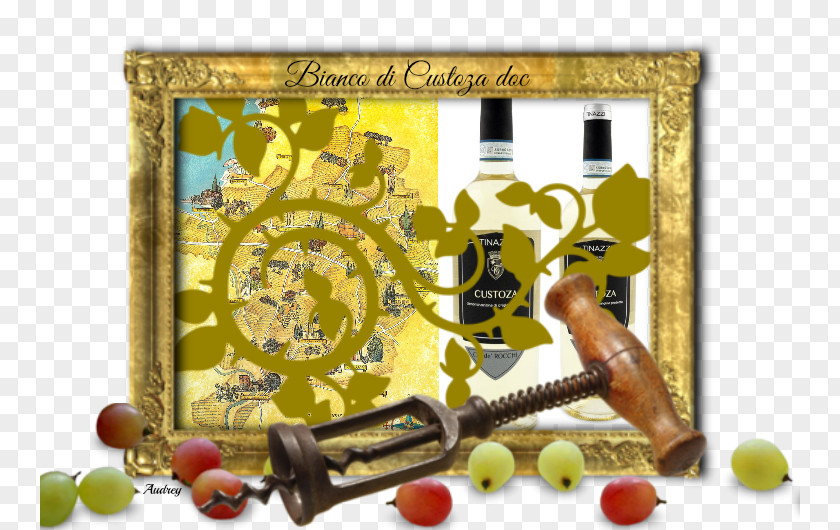 Ifood Picture Frames Fruit PNG