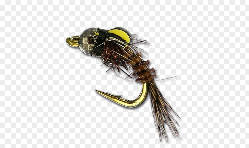 Insect Fishing Bait PNG