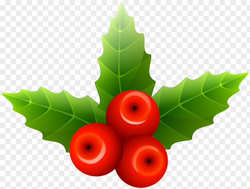 Mistletoe Clip Art Image Christmas PNG