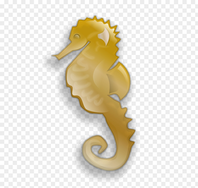 Seahorse Sheldon Clip Art PNG