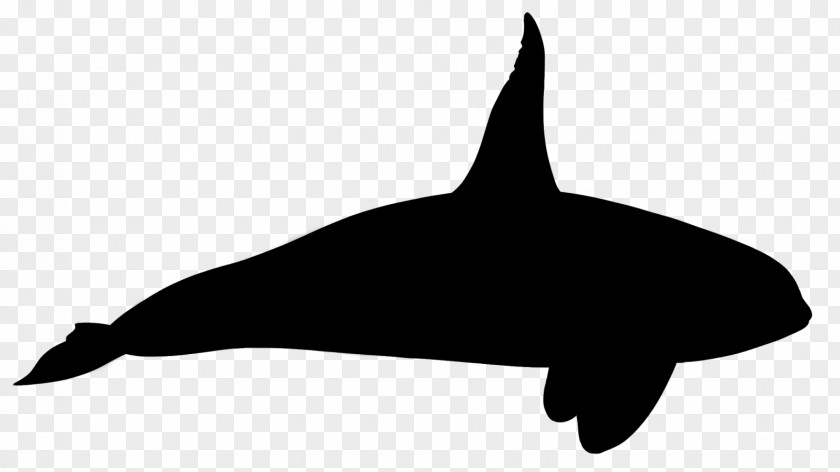 Tucuxi Killer Whale Dolphin Clip Art Fauna PNG