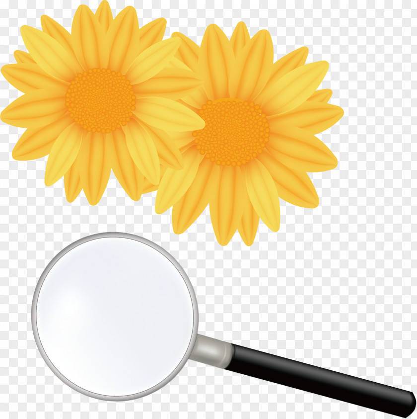 Magnifying Glass Vector Element Flower Royalty-free Shutterstock PNG