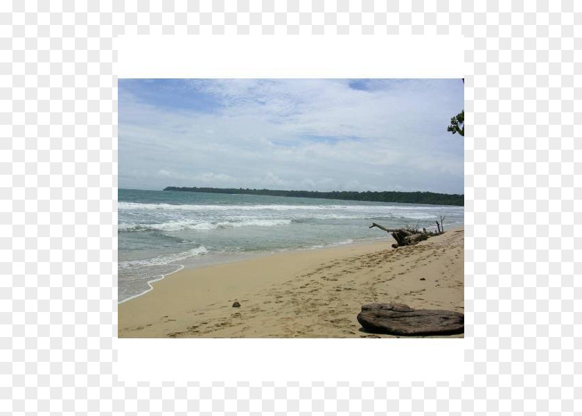 Sea Shore Beach Coast Ocean PNG