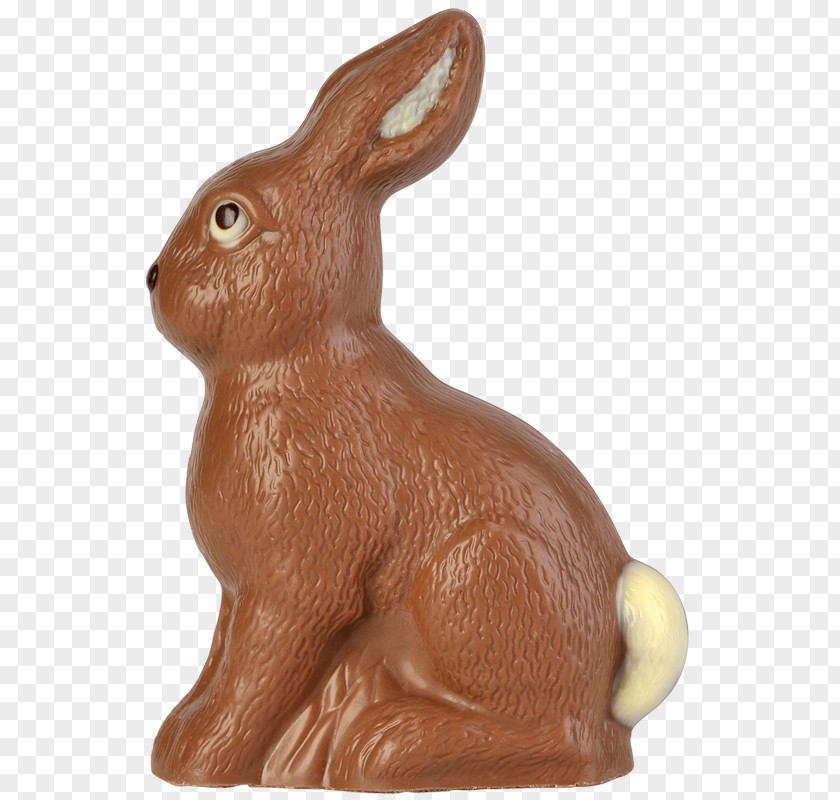 Ender Domestic Rabbit Hare Easter Bunny PNG