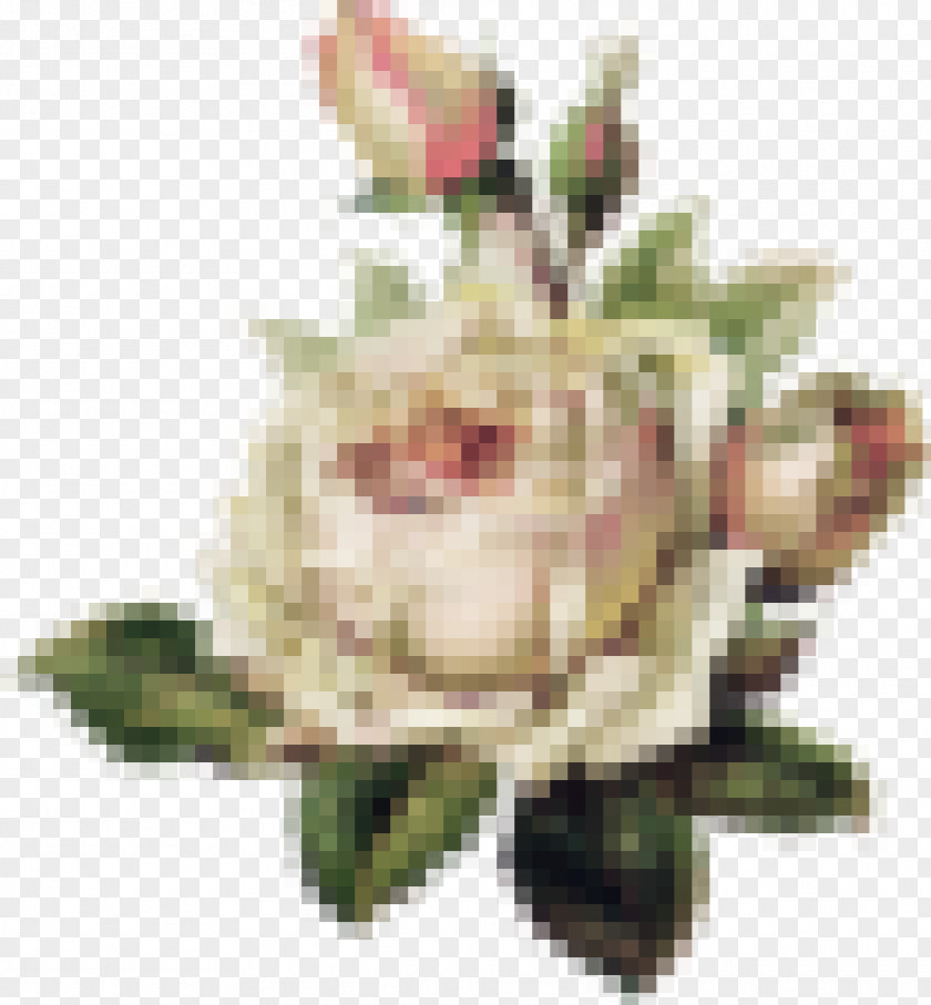 Flowers Vintage Roses: Beautiful Varieties For Home And Garden Old School (tattoo) Flower PNG