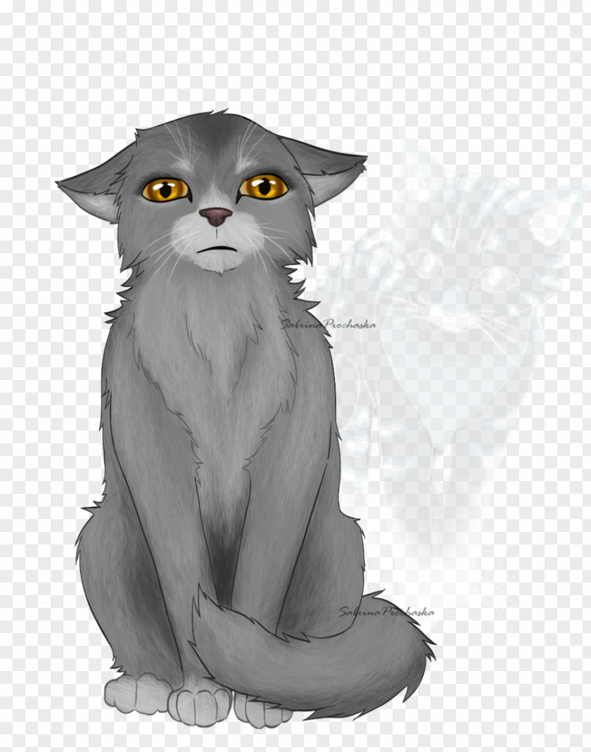Kitten Whiskers Into The Wild Warriors Graystripe PNG