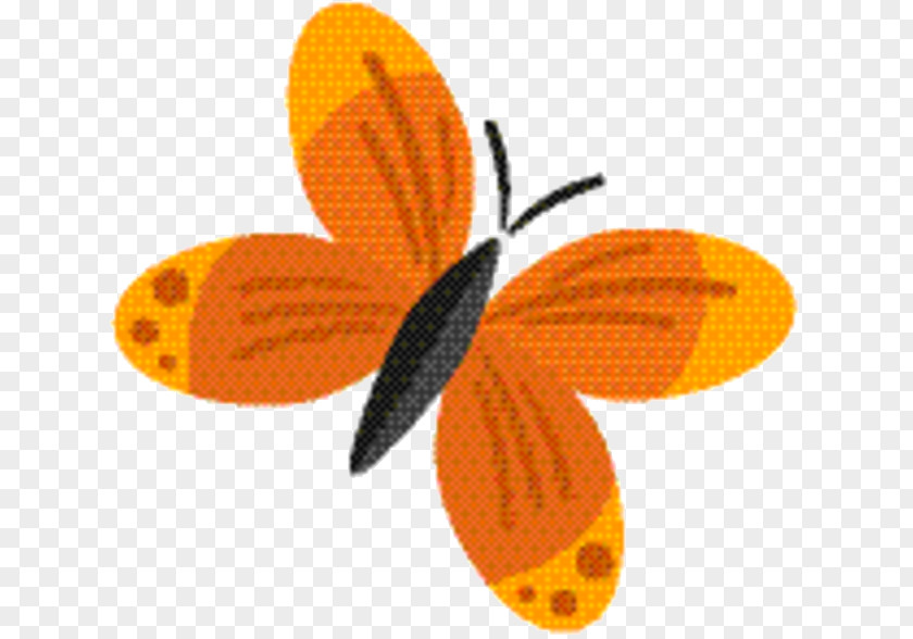 Moths And Butterflies Pollinator Orange Flower PNG