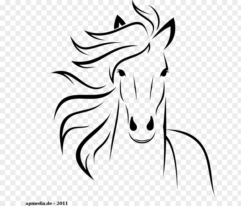 Mustang Icelandic Horse Equestrian Stallion Wild PNG