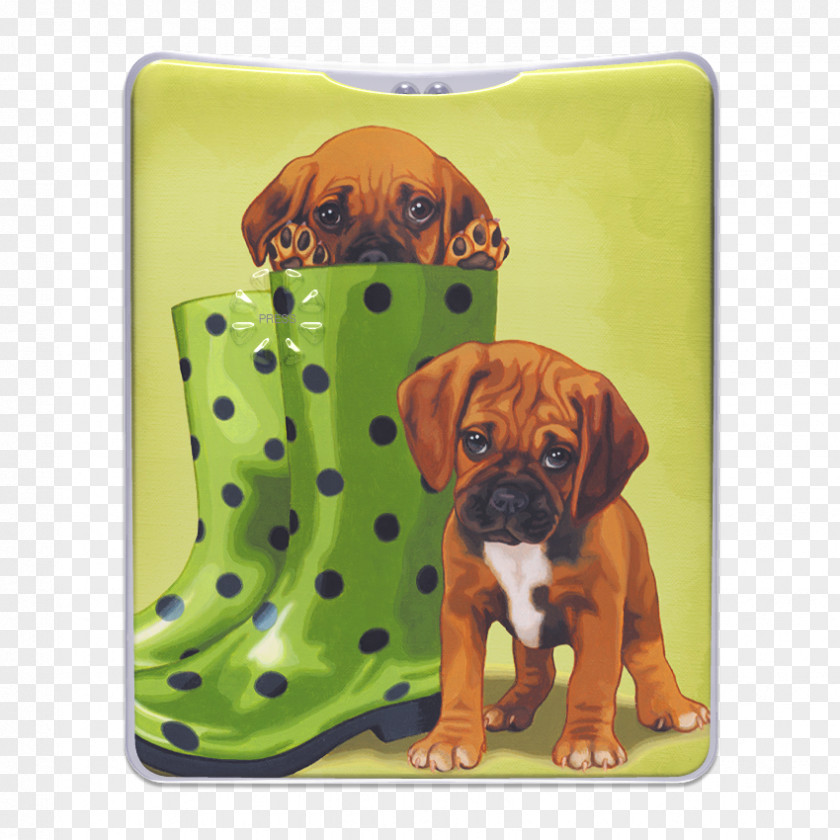 Puppy Boxer Puggle Bullmastiff Dog Breed PNG