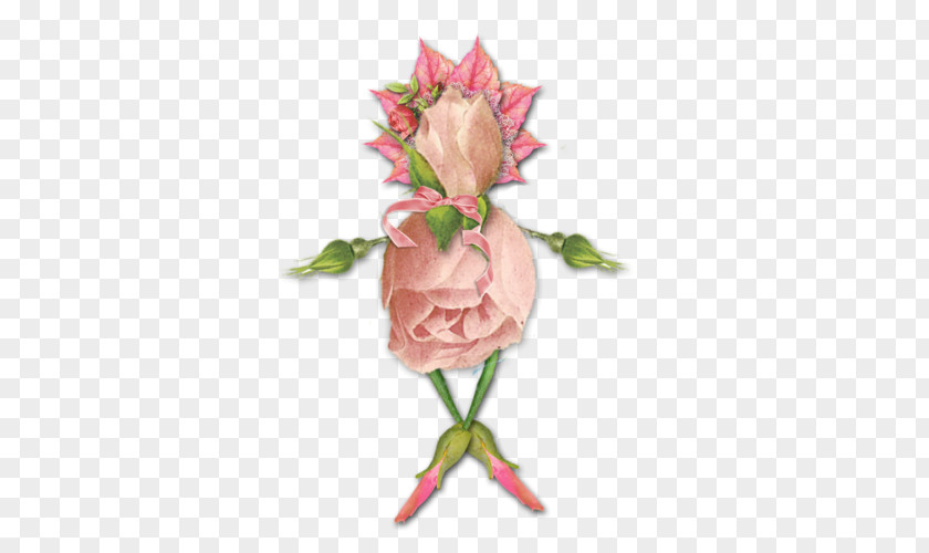 Souvent Fleur Chauvesouris Garden Roses Photograph Vector Graphics Image PNG