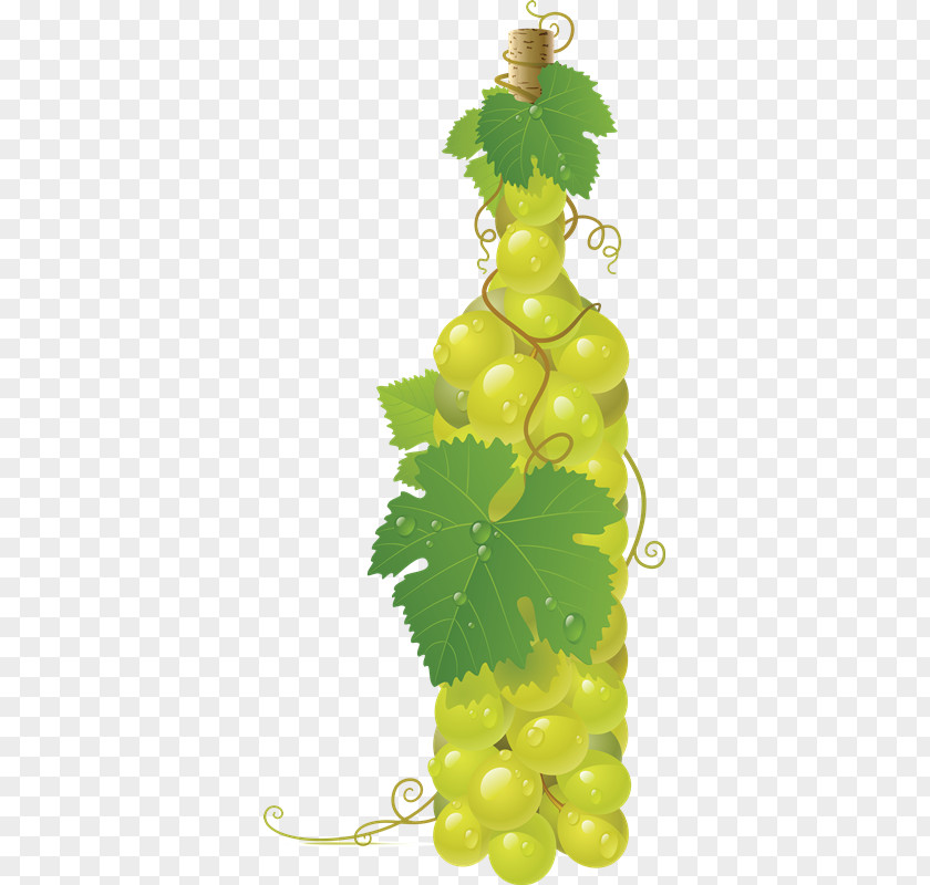 UVAS Common Grape Vine Wine Juice PNG
