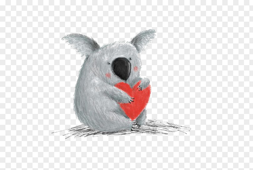 Cartoon Koala Drawing READ And HEAR Edition: Thoughts To Make Your Heart Sing Illustration PNG