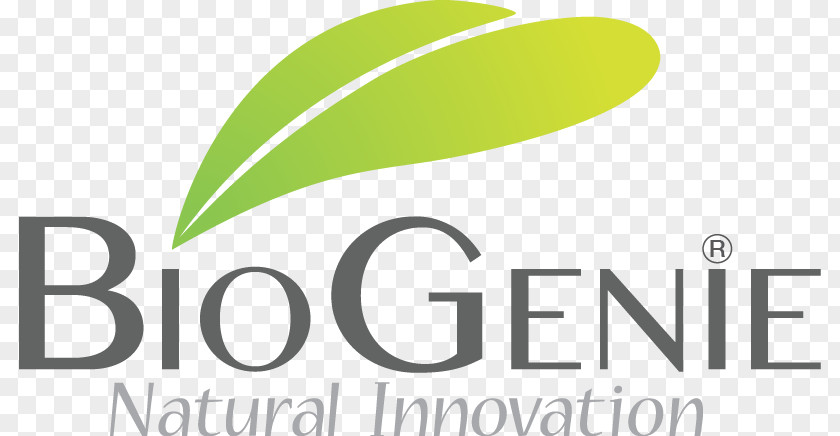 Design Logo Brand Algeria Font PNG