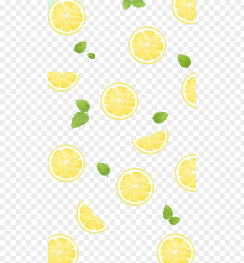 Lemon Vector Picture Material Towel PNG