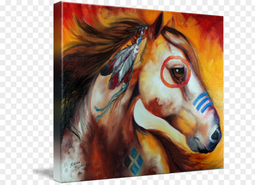 Painting Watercolor American Indian Wars Horse Pony PNG