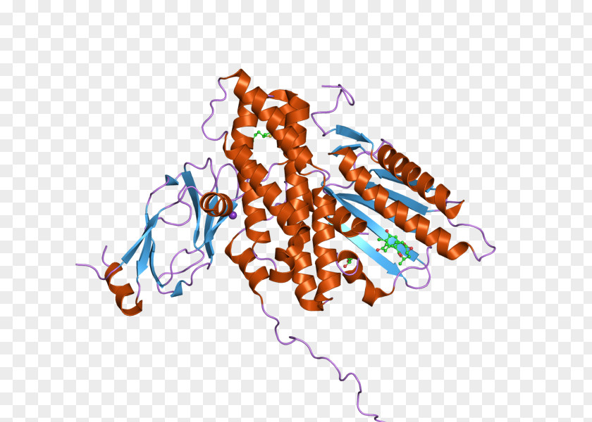 Pyruvate Dehydrogenase Kinase Complex Dihydrolipoyl Transacetylase Enzyme PNG