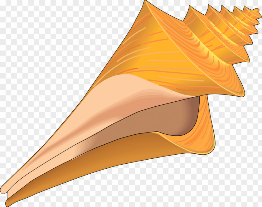 Seashell Clip Art PNG