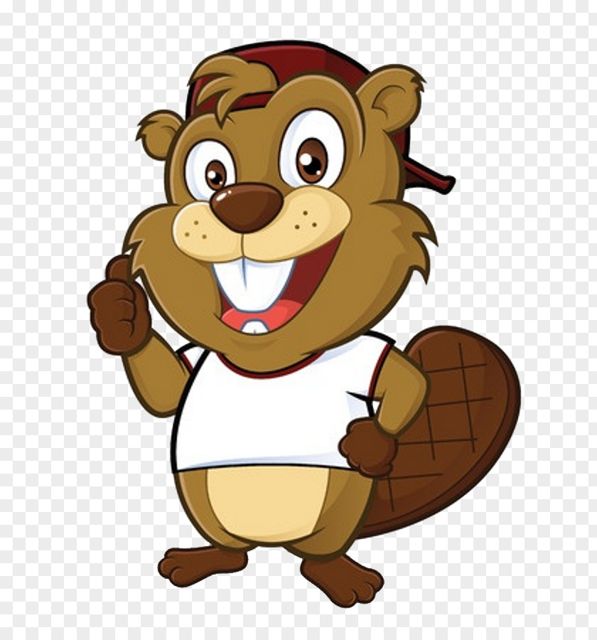 Smiling Beaver Cartoon Illustration PNG