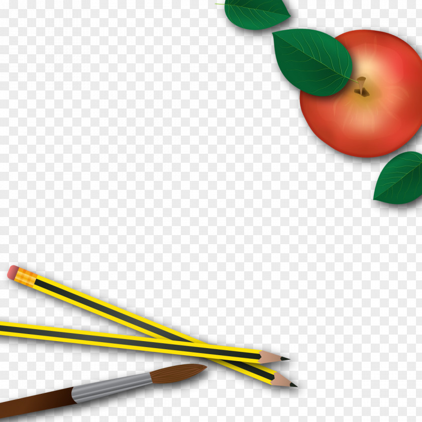 Vector Apple Pencil Download PNG