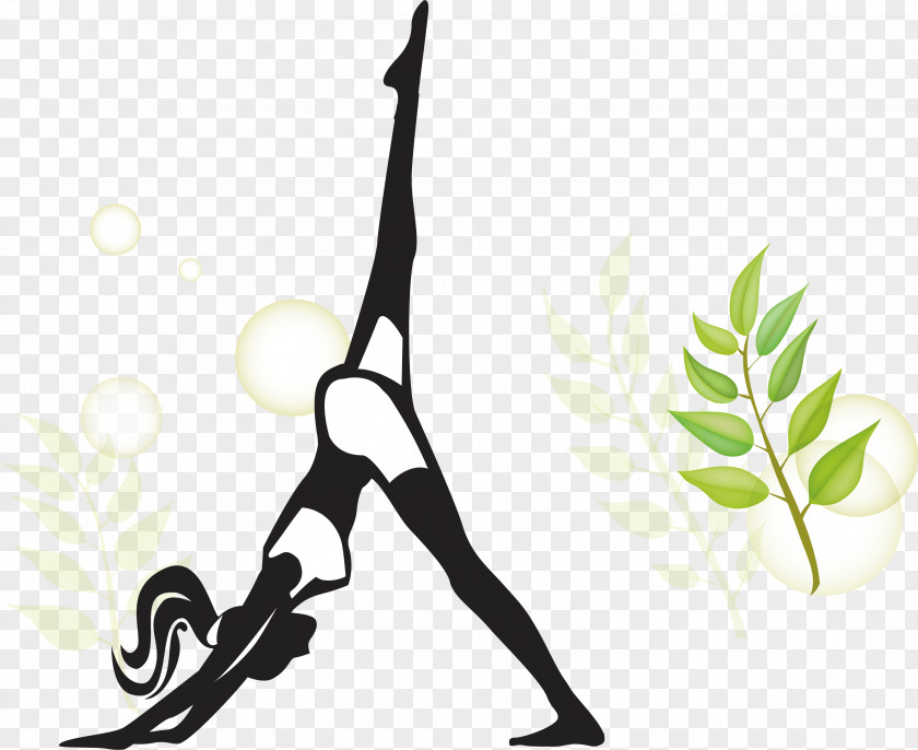 Beautiful Yoga Movement Silhouette Woman Female PNG