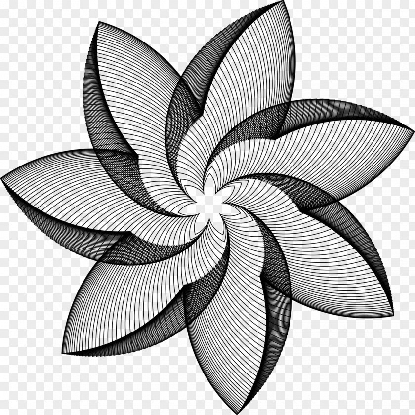 Drawing Line Art Flower Clip PNG