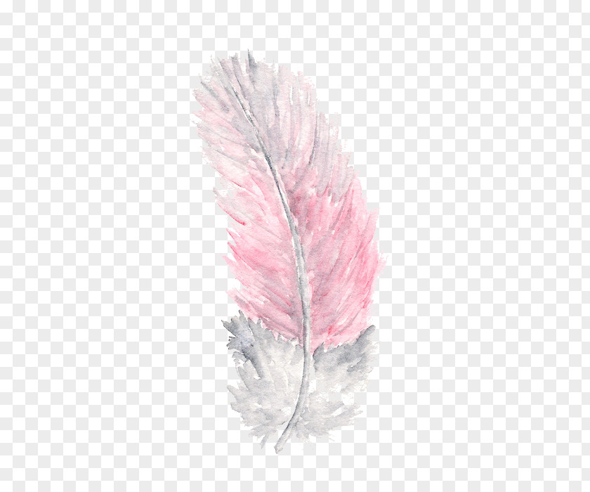 Feather Watercolor Painting Image PNG