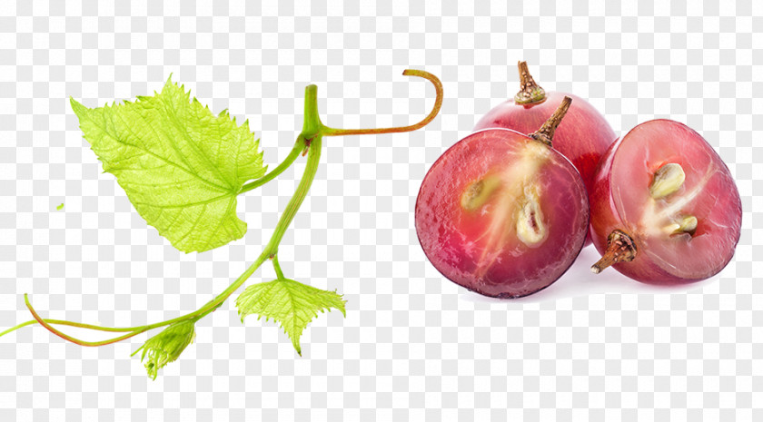 Grape Common Vine Frutti Di Bosco Juice Fruit PNG