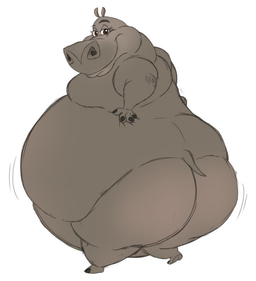 Hippo Gloria Hippopotamus Madagascar Mammal Domestic Pig PNG