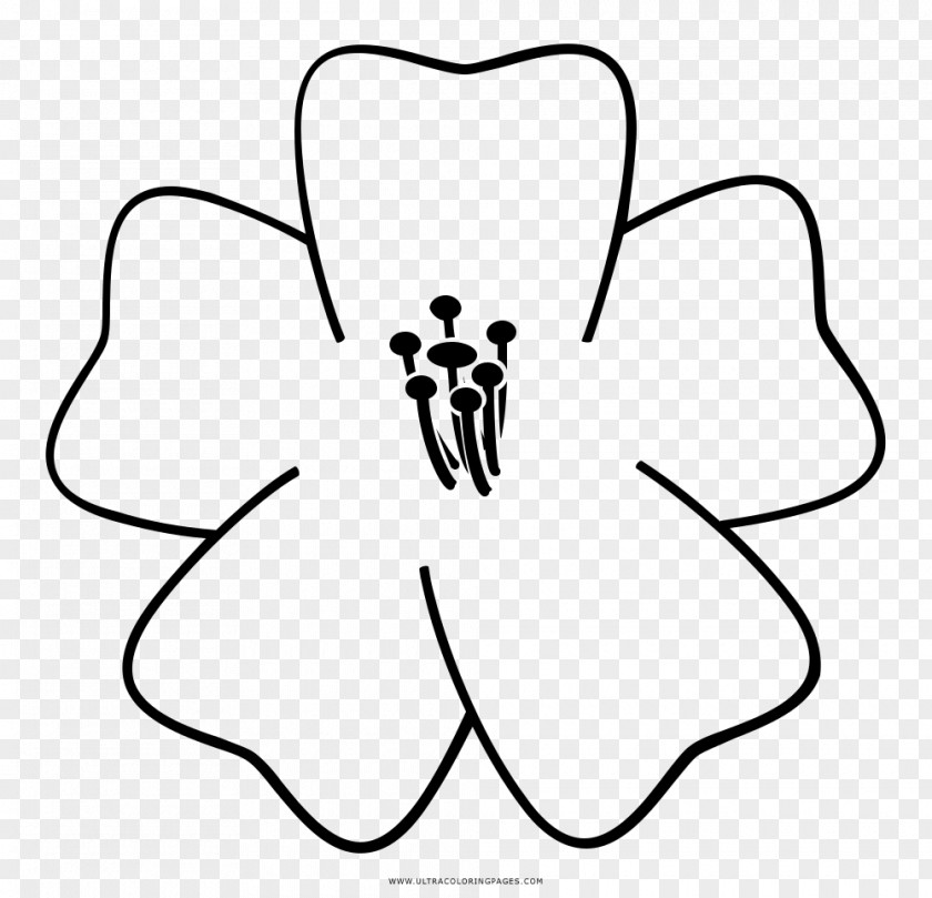 Multiple Pages Drawing Paper Coloring Book Flower PNG