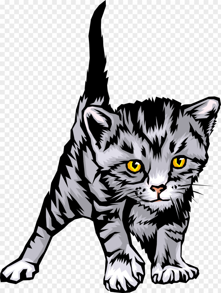 Vector Cat Himalayan Kitten Black Dog PNG