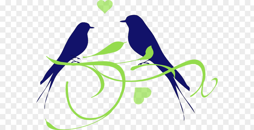 Birds-wedding Lovebird Clip Art PNG