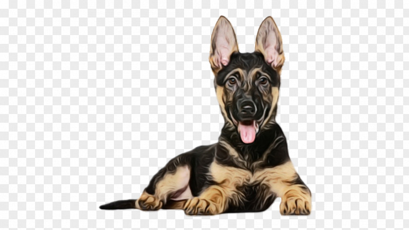 Easteuropean Shepherd Police Dog Breed German King PNG