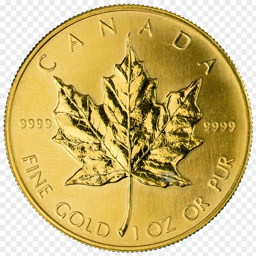 Gold Coins Canadian Maple Leaf Ounce Obverse And Reverse PNG