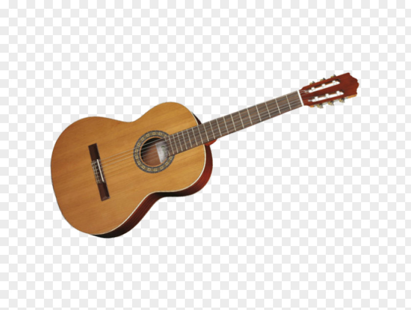 Guitar Classical Acoustic Musical Instruments Acoustic-electric PNG