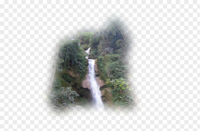 Water Waterfall Kuang Si Falls Resources Tree PNG