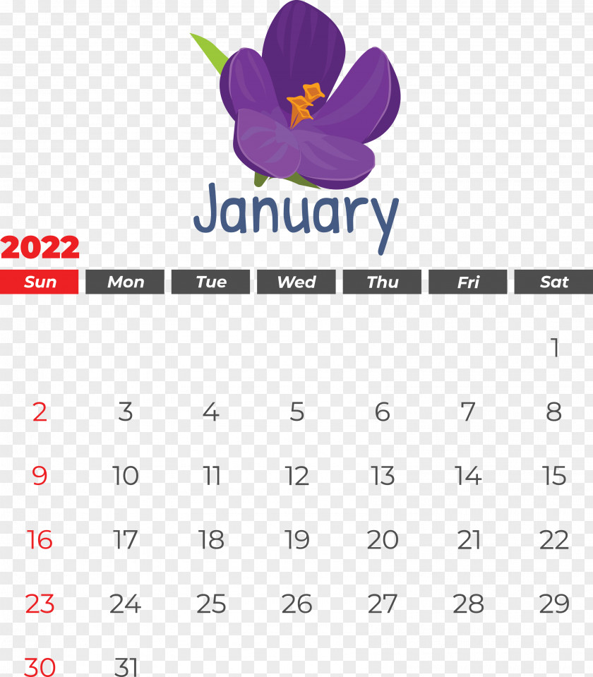 Calendar Line Font Flower Petal PNG