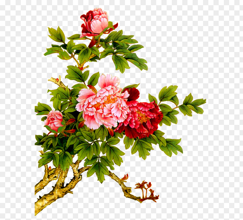 Creative Hand-painted Peony China Chinese Painting Art PNG