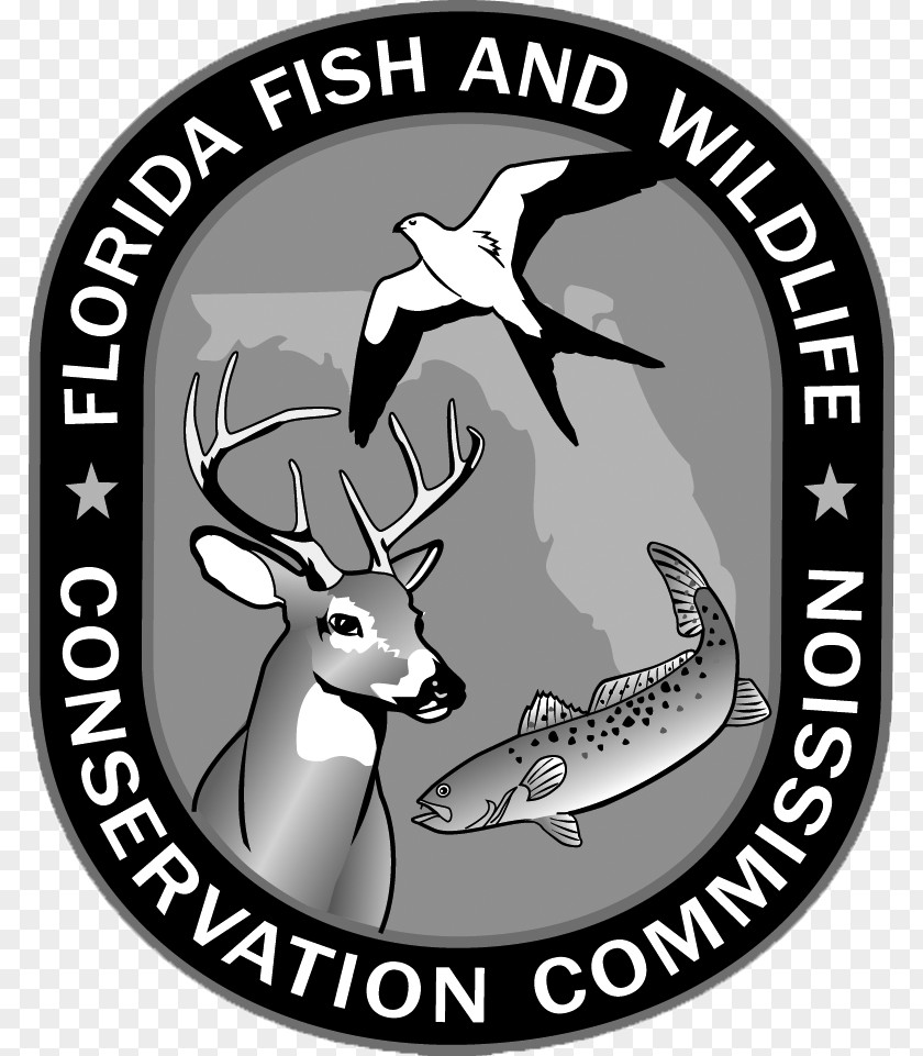Florida Fish And Wildlife Conservation Commission Chassahowitzka Management Area Apalachee Government Agency PNG