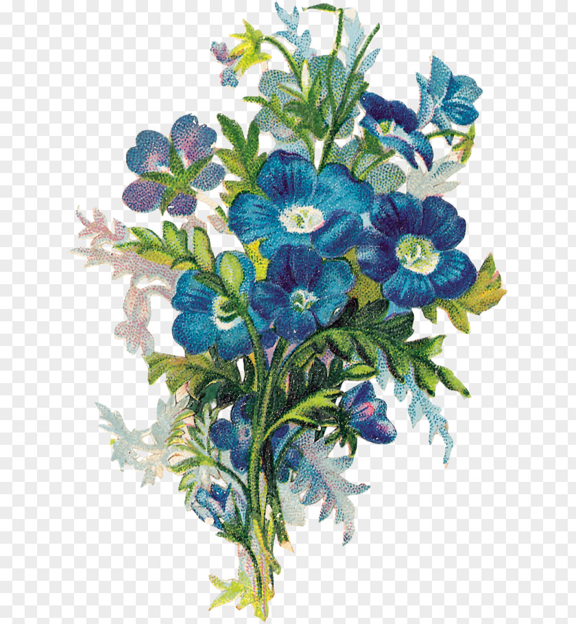 Flower Floral Design Cut Flowers Old-Time Vignettes In Full Color Bouquet PNG