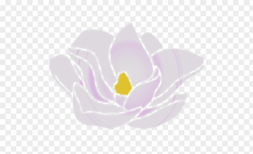 Magnolia Violet Lilac Purple Magenta Flower PNG