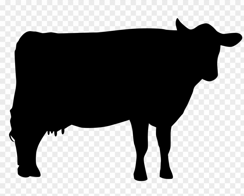Silhouette Holstein Friesian Cattle Jersey Hereford Beef Santa Gertrudis PNG