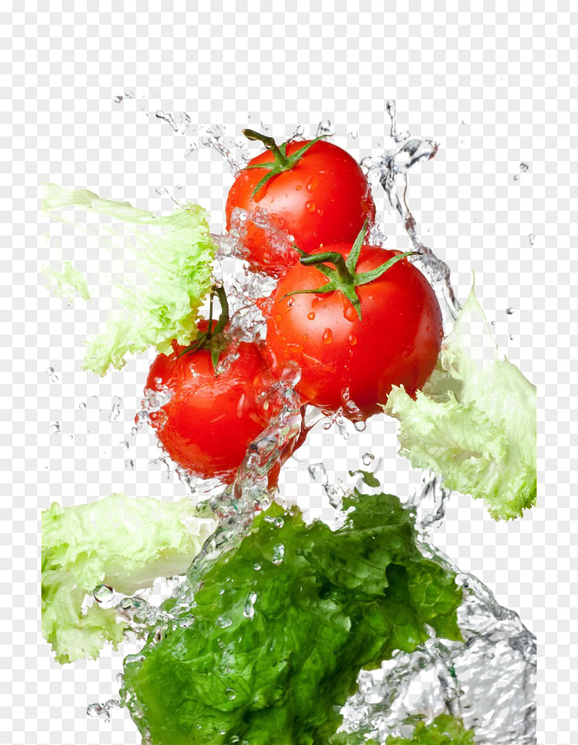 Tomato Water Pizza Fruit Food PNG