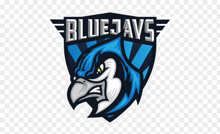 Blue Jays Counter-Strike: Global Offensive Source Game Electronic Sports PNG