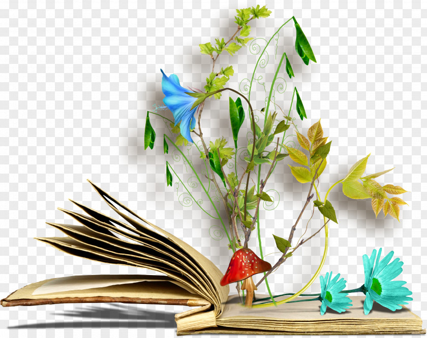 Book Squid Flower Photography Clip Art PNG