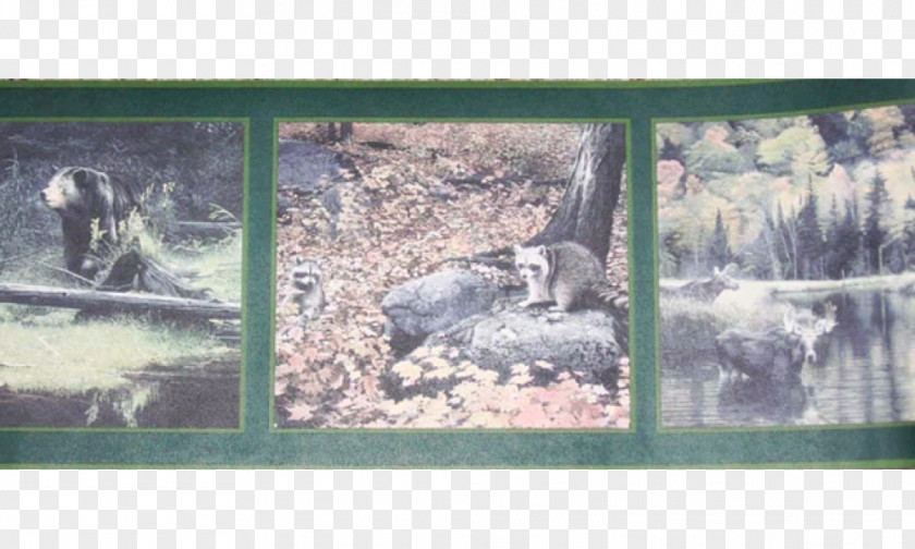 Border Animal Mammal Picture Frames York Wallcoverings Inc Wallpaper PNG