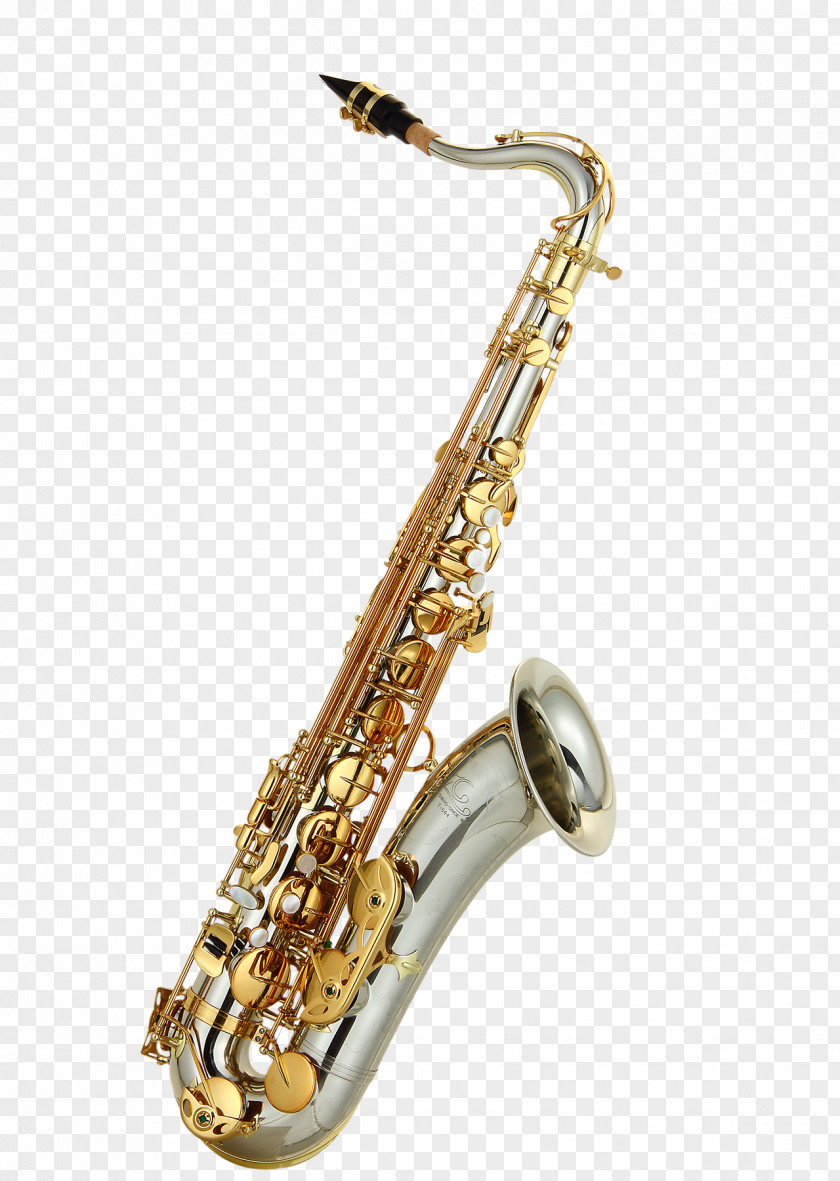 Saxophone Tenor Alto Henri Selmer Paris Flat PNG