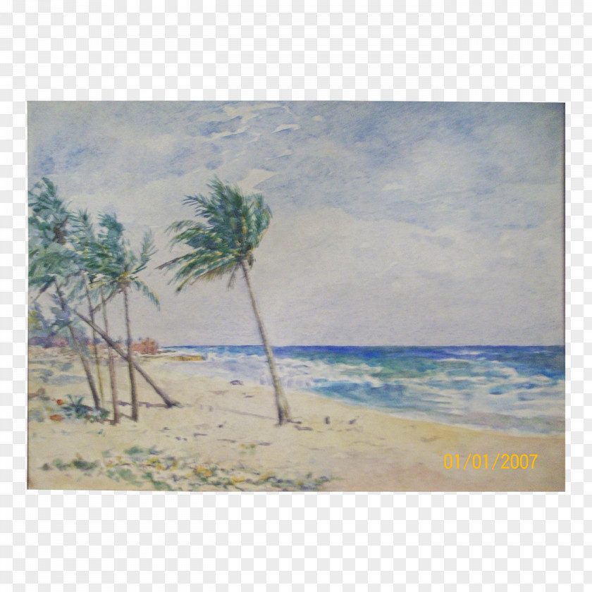 Sea Caribbean Watercolor Painting Beach PNG