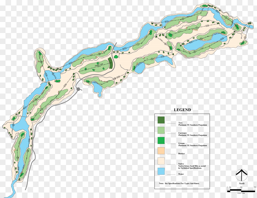 Water Resources Organism Map Product Design PNG