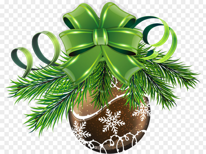 Christmas Fir Ornament Gift PNG