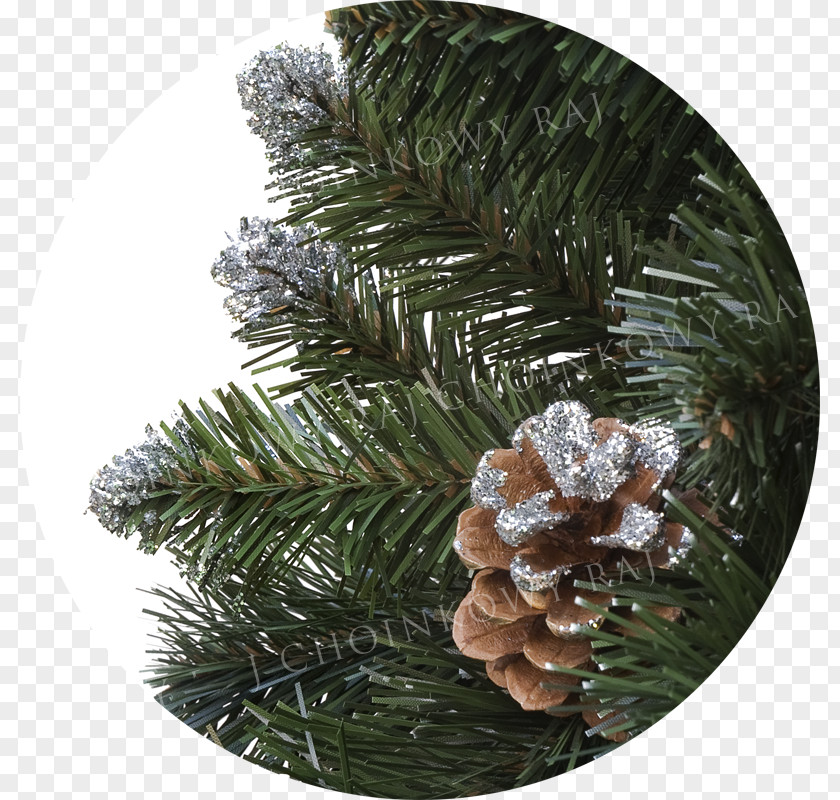 Christmas Tree Fir Ornament Spruce Pine PNG